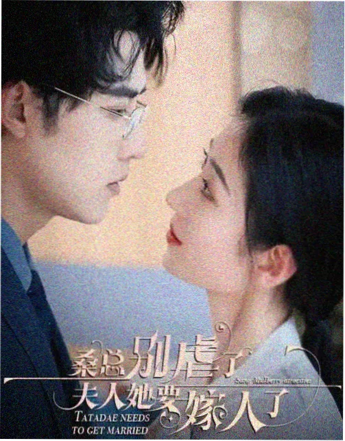 秋季档剧集排期封面
